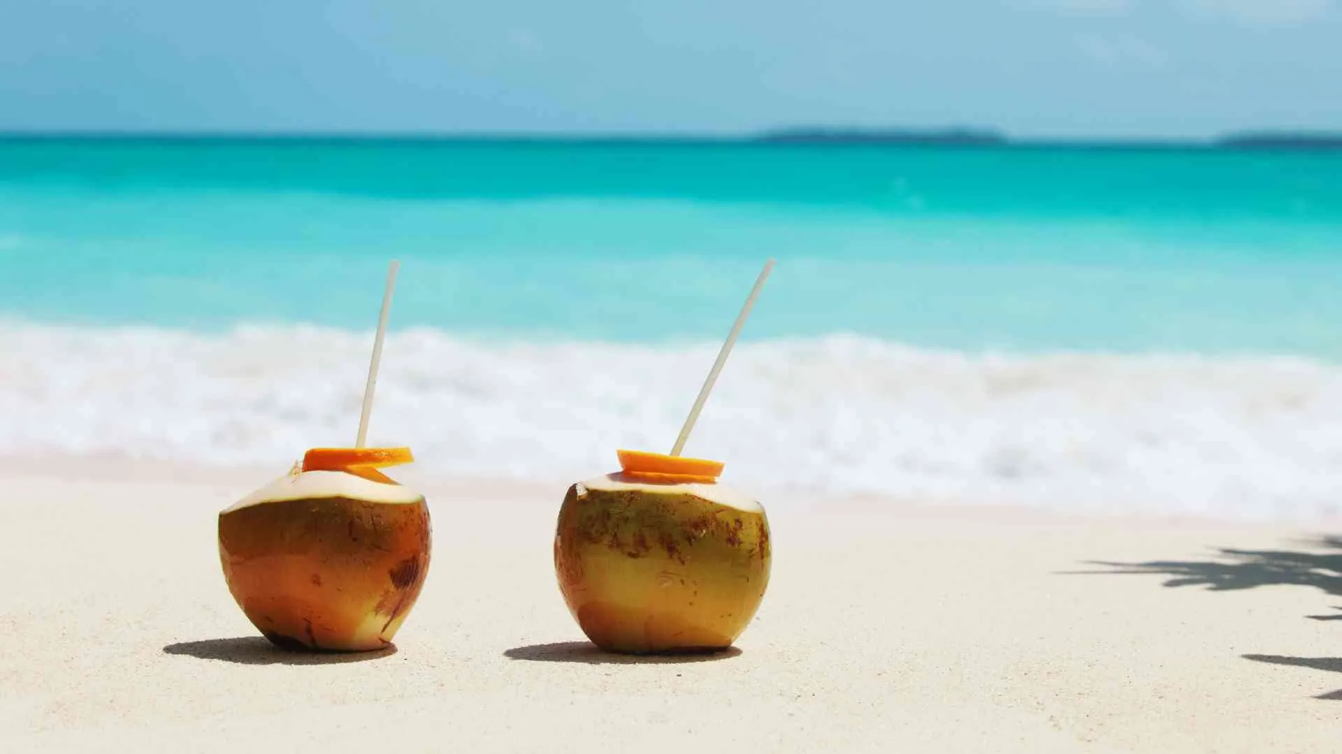 coconut drinks on the beach